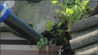  valeting and gutter cleaning service in Norfolk