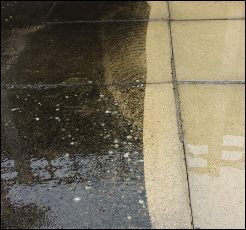 patio cleaning in norfolk