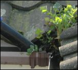 Gutter cleaning Norfolk